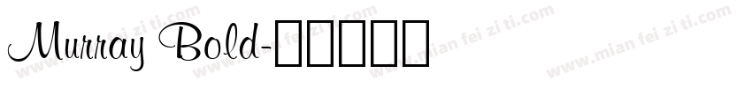 Murray Bold字体转换